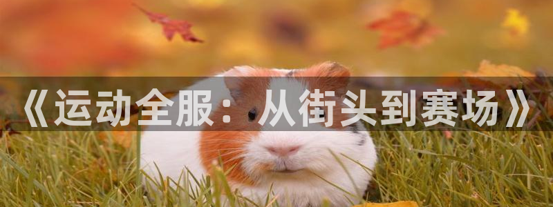 皇冠678体育