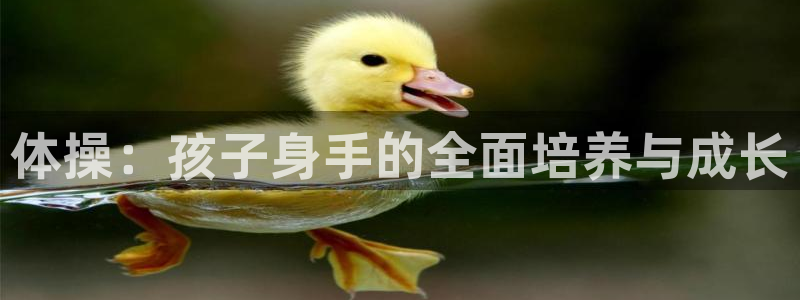 678体育