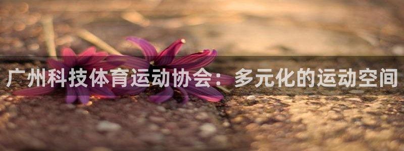 678体育知识