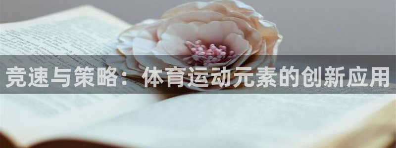 678体育知识