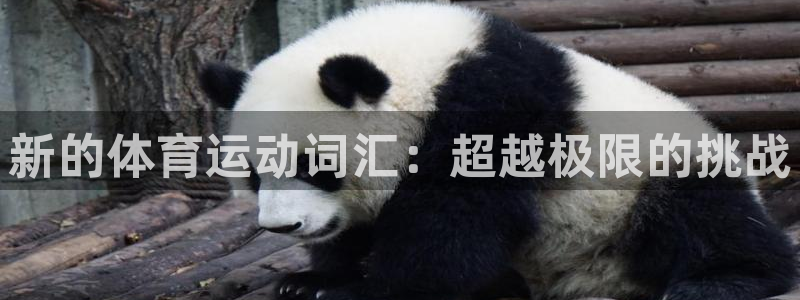 678体育官网下载